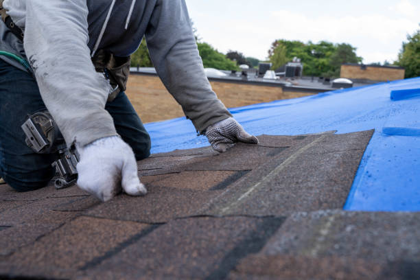 Best Commercial Roof Installation  in Theodore, AL
