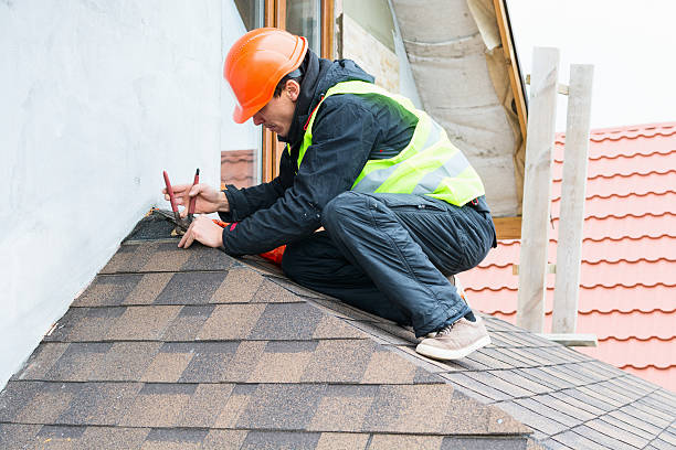 Best Roof Gutter Cleaning  in Theodore, AL